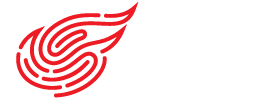report/report/image/netease.png